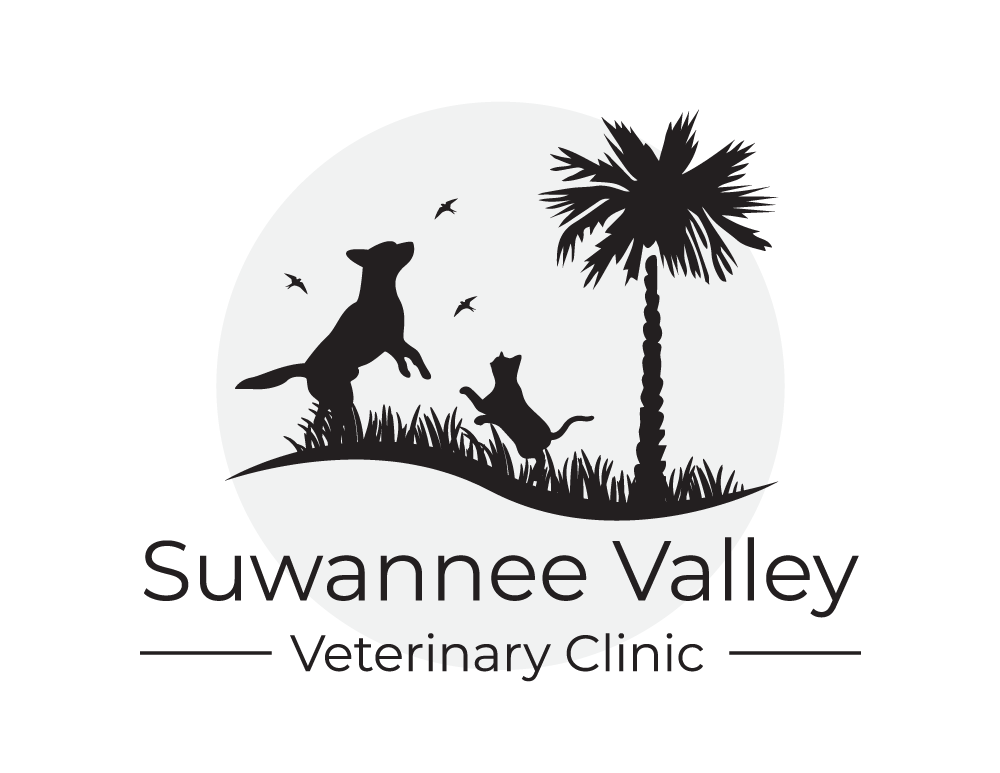 Suwannee Valley Veterinary Clinic Chiefland Florida